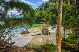 _DVC7779-1